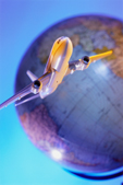 earth&plane.jpg
