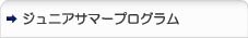 ジュニアサマープログラム