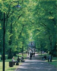 park.jpg park.jpg