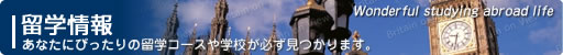 top-banner1.jpg